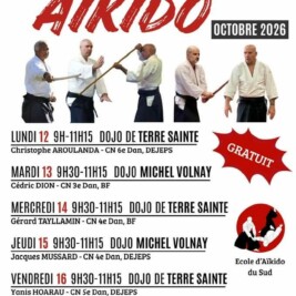 Vacances d’octobre : cinq matinées gratuites d’aïkido dans le Sud